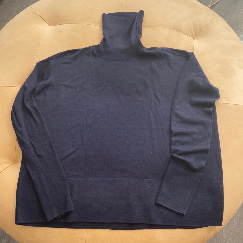 Everlane wool turtleneck